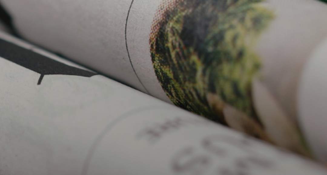 Wejdź na ścieżkę innowacji. Wywiad dla magazynu My Company Polska